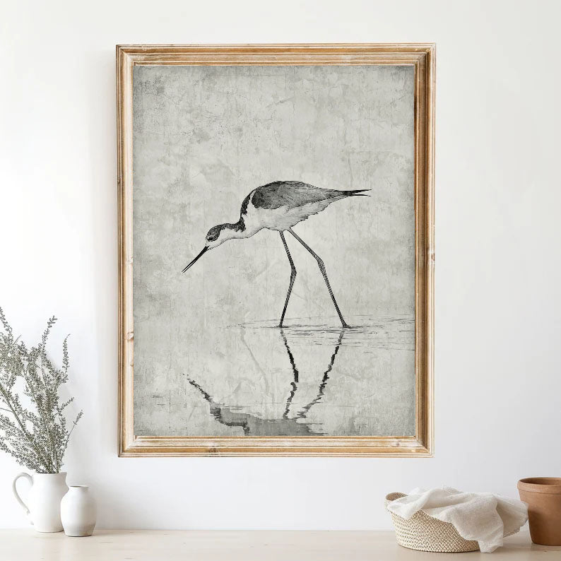 Textured Wading Bird | Monochrome Reflections