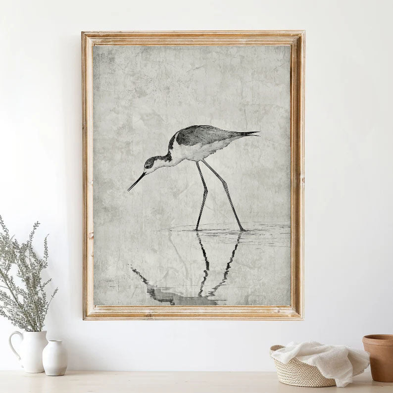 Textured Wading Bird | Monochrome Reflections