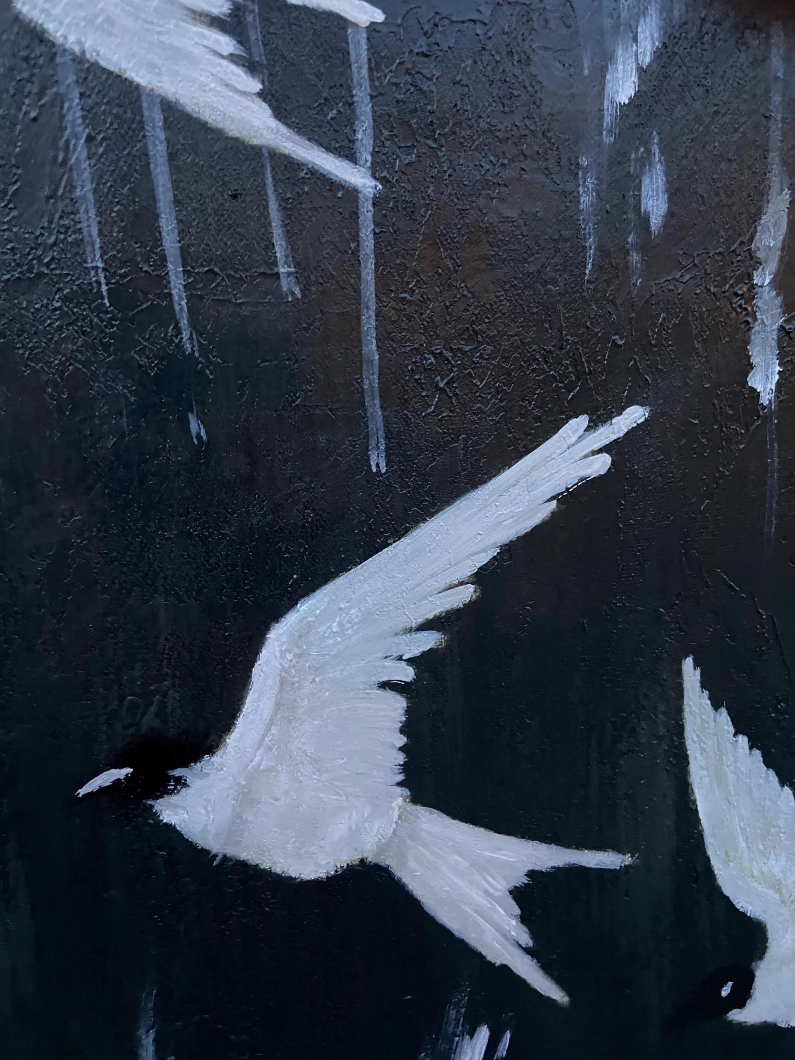 Textured Avian Dynamism | Black White