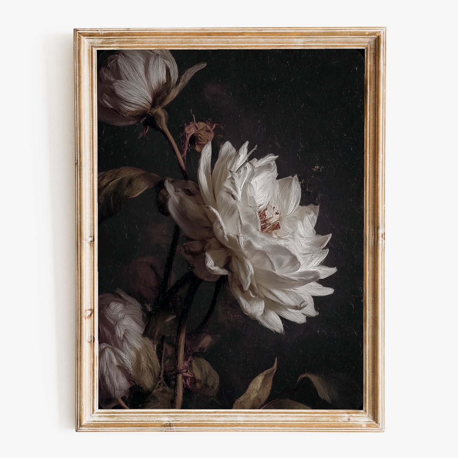 White Peony Art | Textured Opulence