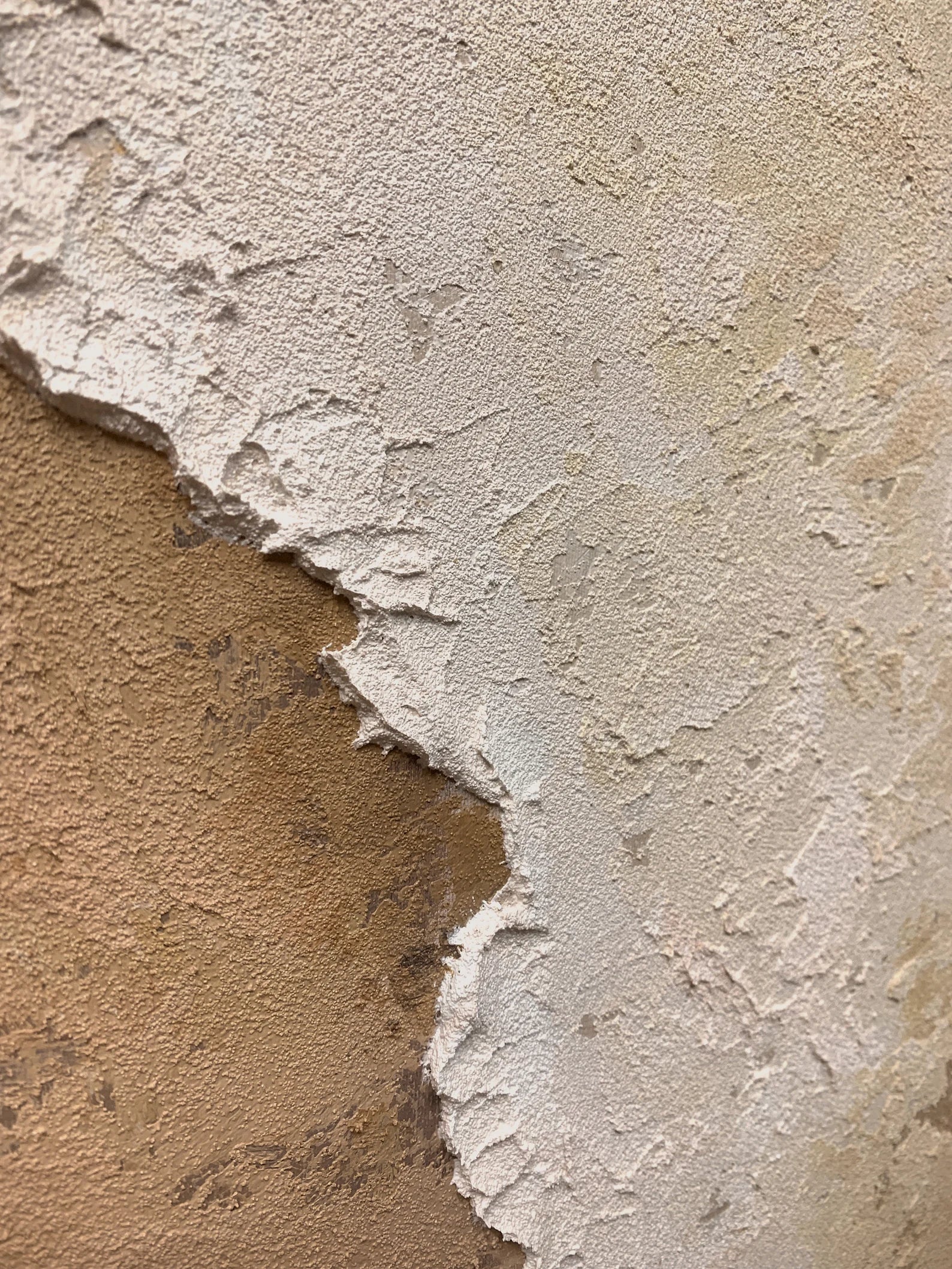 Textured Neutral Harmony | Beige Edge